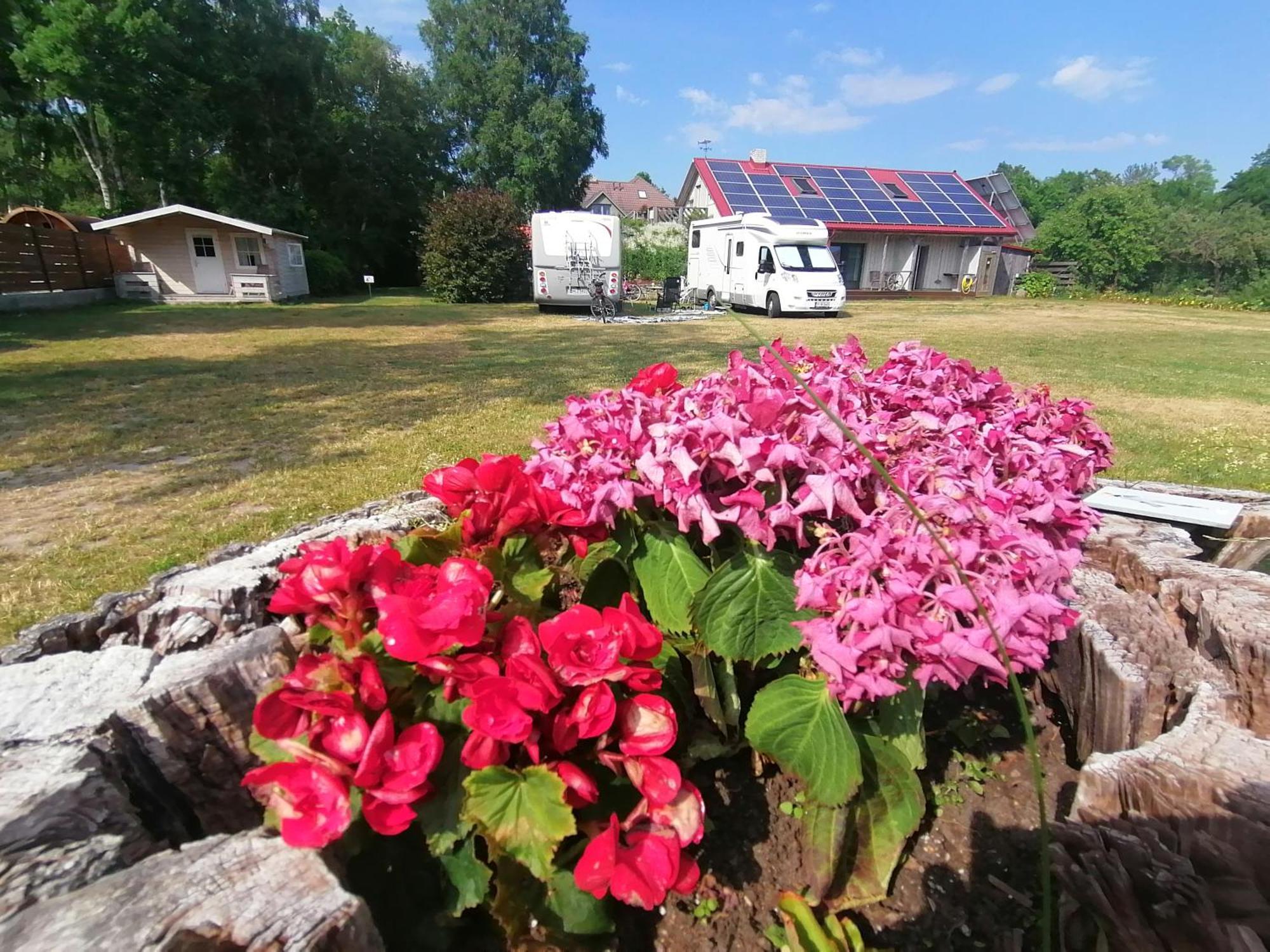 Piibelehe Guest Accommodation Kuressaare Bagian luar foto
