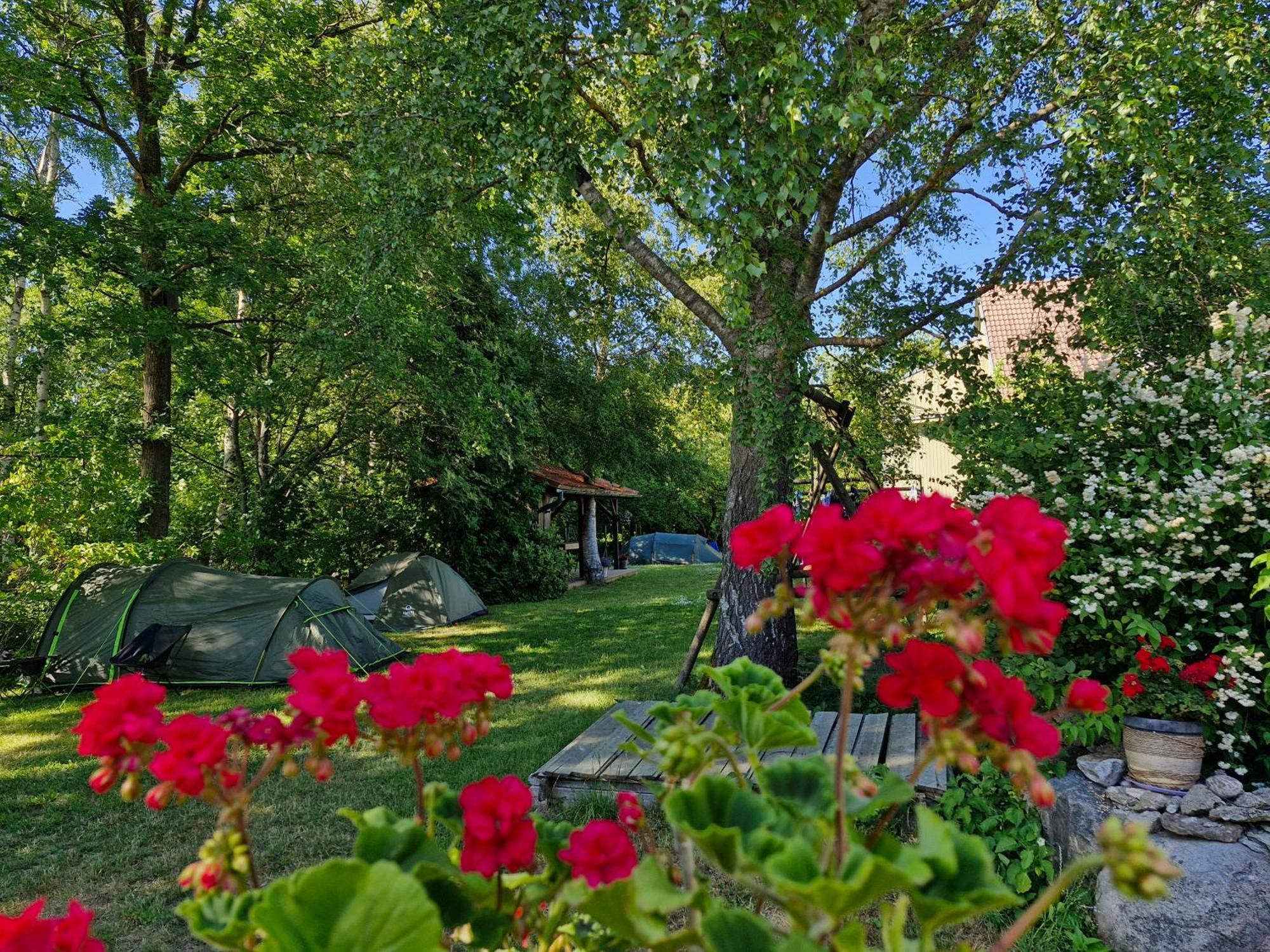 Piibelehe Guest Accommodation Kuressaare Bagian luar foto